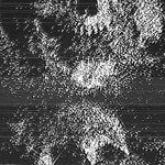 Profile Picture of 𝚃𝚑𝚘𝚖𝚊𝚜 𝙰𝚊𝚛𝚘𝚗 𝙱𝚛𝚞𝚜𝚝 (@thomas.a.brust) on Instagram