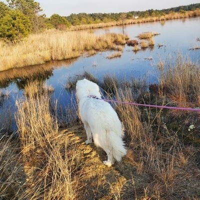 Profile Picture of April Schroeder (@AprilSc21312119) on Twitter