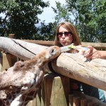 Profile Picture of Jane Glosser (@jeglosser) on Instagram