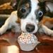 Profile Picture of Maureen Lett (@moseylett) on Pinterest