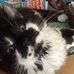 Profile Picture of Beverly Cates (@beverly.cates.925) on Facebook