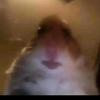 Profile Picture of Braydenpriddell (@@brayden_priddell) on Tiktok