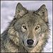 Profile Picture of Jonathan Stitt (@stittjonathan) on Pinterest