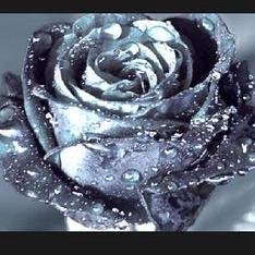 Profile Picture of Lorraine Marshall (@31lorraine8) on Twitter