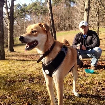 Profile Picture of Josh Yokitis (@yokitis55) on Twitter