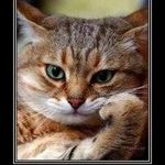 Profile Picture of Michał Kolczyński (@kolczynskimichal) on Instagram