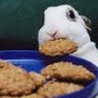 Profile Picture of Fay Sharp (@fay-sharp-1) on Quora