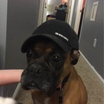 Profile Picture of Larry Royer (@royerlarry3) on Twitter