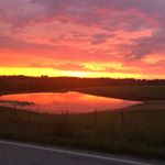 Profile Picture of Debbie Scanlon (@scanlon_debbie) on Instagram