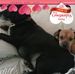 Profile Picture of Shirley Hix (@shirley.hix.39) on Facebook