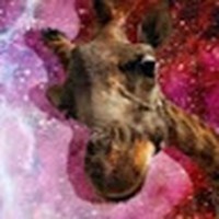 Profile Picture of Aaron Griswold (@aaron-griswold-6) on Quora