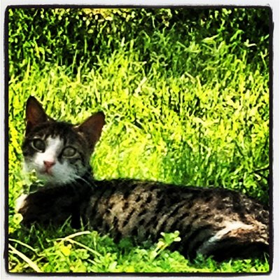 Profile Picture of Julian Burgess (@dazzlingtaxi72) on Twitter