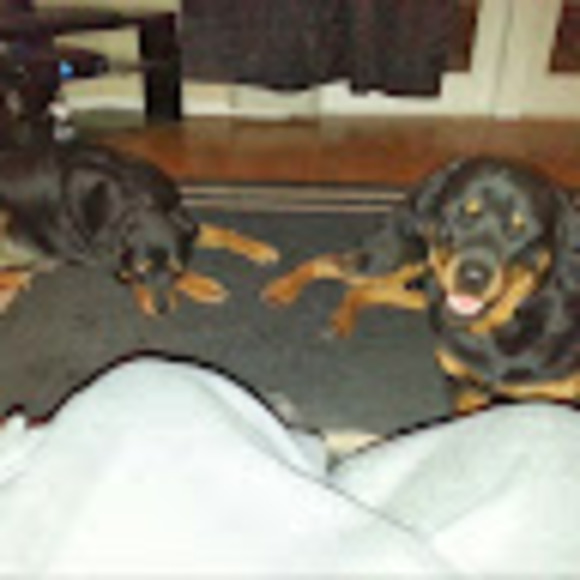 Profile Picture of James Guillaume (@jguillaume79) on Poshmark