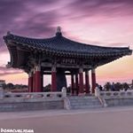 Fatima Martins - Instagram Profile Picture of Fatima Martins (@donacurlyona_travelphotography) on Instagram