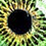 Profile Picture of Carlos M Aranda (@cm. aranda) on Flickr