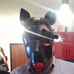 Profile Picture of Alan Roman puppy (@alan_roman_puppy) on Instagram