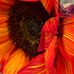 Profile Picture of Denise Hackman (@Denise-Hackman) on Facebook