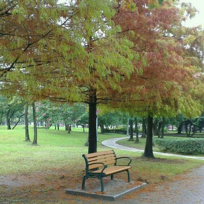 Profile Picture of Robert Tien (@tebc841019) on Twitter