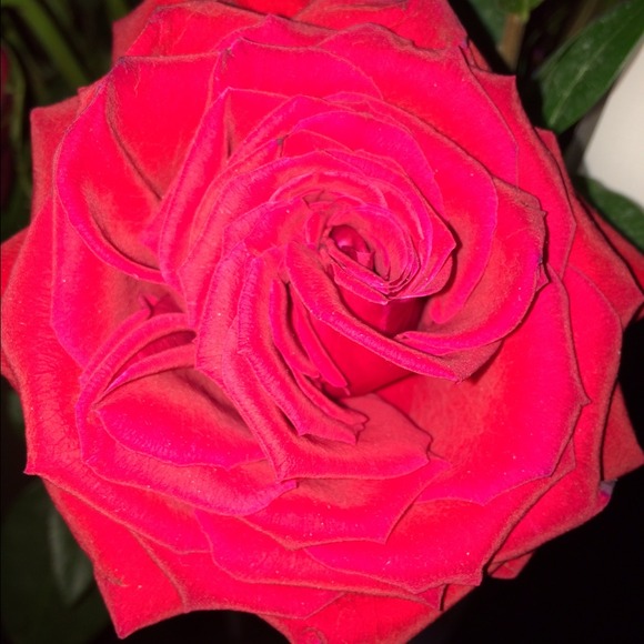 Profile Picture of Samantha Olang (@samanthaolang) on Poshmark