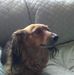 Profile Picture of Barbara Brien (@barbara.brien.1232) on Facebook