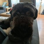 Profile Picture of Jolanda Arnouts (@jolandaarnouts) on Instagram