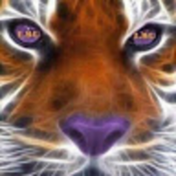 Profile Picture of Rob Moore (@rmoorejr2003) on Poshmark