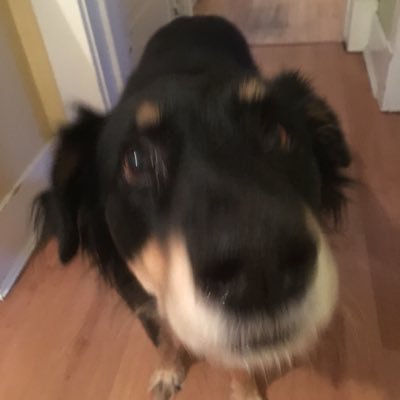 Profile Picture of Bjorn Hanson (@Bjorndbhanson) on Twitter
