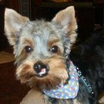 Profile Picture of Judith Dixon-Walsh (@jrwalsh58) on Instagram