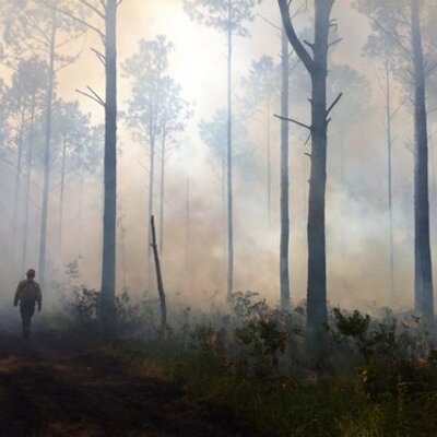 Profile Picture of Tom Dooley (@toms_fire) on Twitter
