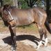 Profile Picture of Lisa Cheney (@lisa.cheney.5) on Facebook