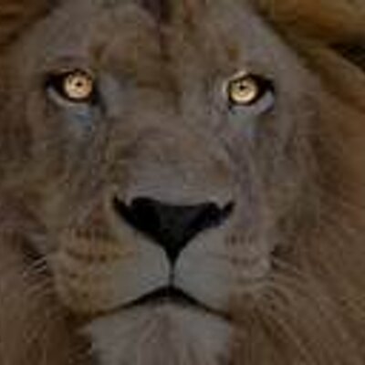 Profile Picture of Jason Laing (@JasonLaing123) on Twitter