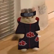 Profile Picture of Santiago Munoz Jimenez (@santiagomunozjimenez631) on Youtube