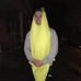Profile Picture of Bryan Moriarty (@bryan.moriarty.18) on Facebook