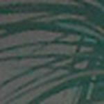 Profile Picture of Edward Kennedy (@free singles group in fort myers) on Flickr