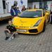 Profile Picture of Randy Schippers (@randy.schippers.129) on Facebook
