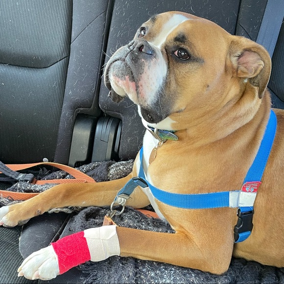 Profile Picture of Cassandra Whitney (@c_t627) on Poshmark