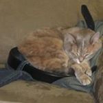 Profile Picture of Glen Houston (@houston_glen_) on Instagram