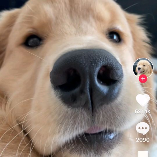 Profile Picture of Ester Spadafora (@esterspadafora1) on Tiktok