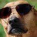 Profile Picture of Kevin Alfrey (@kevindalfrey) on Pinterest