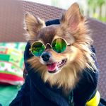 Jamie Costa - Instagram Profile Picture of Jamie Costa (@jamieccosta) on Instagram