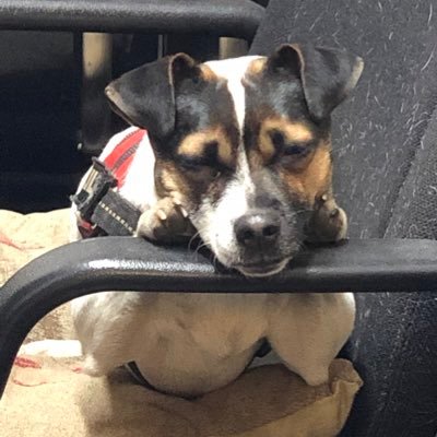 Profile Picture of Paul Stabler (@paulstabler2) on Twitter