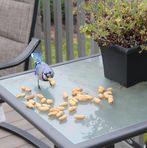 Profile Picture of Mike Haber (@mike.haber.14) on Facebook