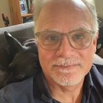 Profile Picture of David Park (@bluesyrooster) on Instagram