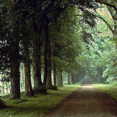 Profile Picture of FELIX TEJEDA (@FelixTejeda) on Twitter