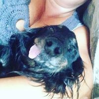 Profile Picture of Miranda Giles (@miranda-giles-2) on Quora