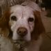 Profile Picture of Claire H Engel (@claireh.engel) on Facebook
