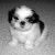 Profile Picture of Jerri Sharp (@jerrisharp3) on Pinterest