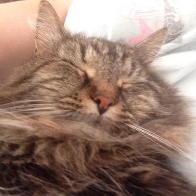 Profile Picture of Dawn Hundorf (@winkels_dawn) on Twitter