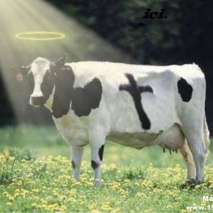 Profile Picture of John Newton (@jenewton) on Myspace