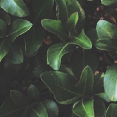 Profile Picture of Kaleb Horton (@itskalebhorton) on Twitter